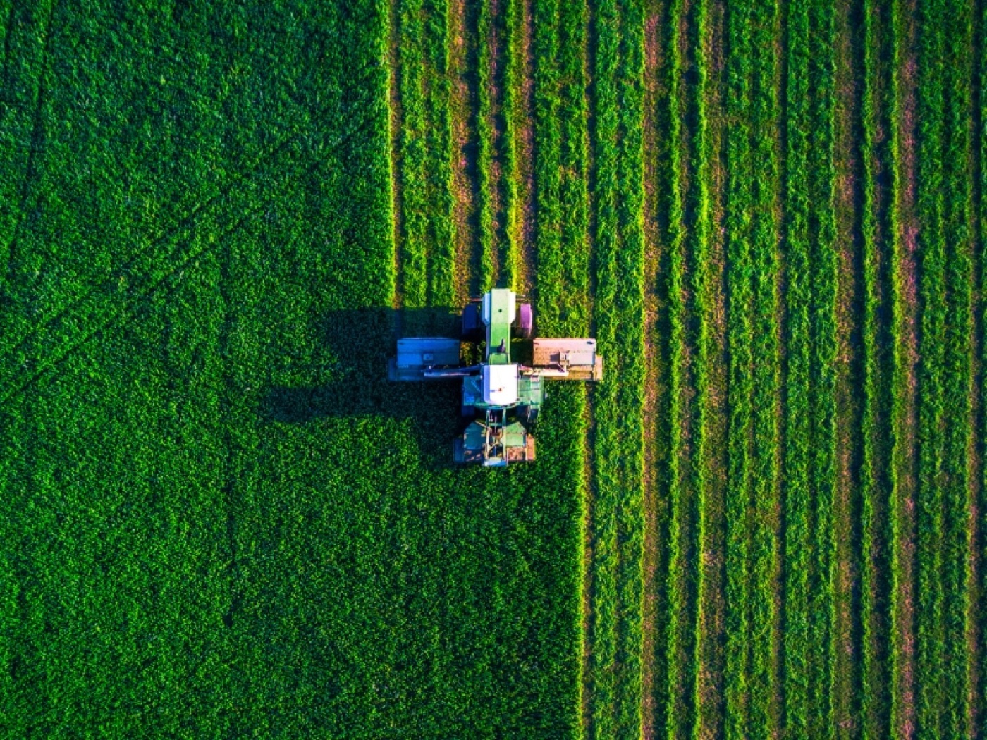 Agriculture